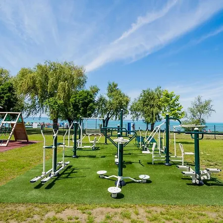 Csenge シオーフォク